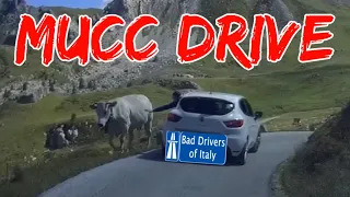 BAD DRIVERS OF ITALY dashcam compilation 10.13 - MUCC DRIVE