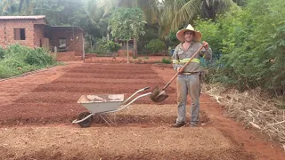 Construindo leira para plantar horta