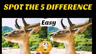 If You Can Pass This Test, You Have Unique Eyesight. Can You? | Spot the difference | IQ level