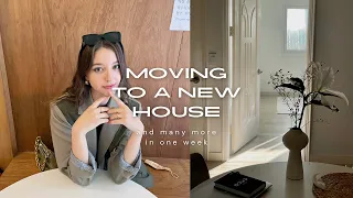 7 years in Korea, moving to a new house, art collaborations & JUST LIFE  | Angelina Danilova