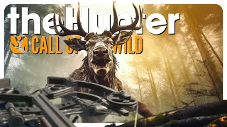 Hunting EVERY Class 8 with a Crossbow! | theHunter: Call of the Wild