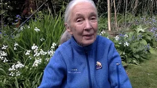 Message du Dr Jane Goodall pour Pâques
