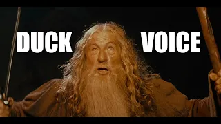 Duck Voice - You Shall Not Pass