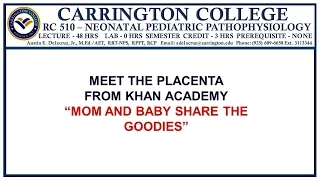 Meet the Placenta from Khan Academy