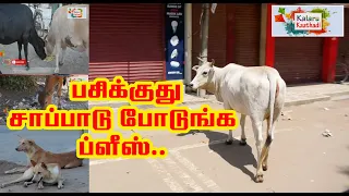 பசிக்குது சாப்பாடு போடுங்க ப்ளீஸ்.. | Kalaru Kaathadi