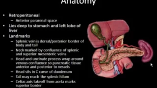 Ultrasound of the Pancreas