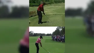 Tiger and Charlie: Like father, like son 🐅