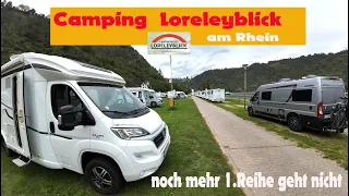Camping Loreleyblick , direckt am Rhein , Schiffe gucken , Radfahren , entspannen , freie Platzwahl