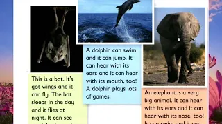 Reading and writing 1- Unit 10: Amazing animals