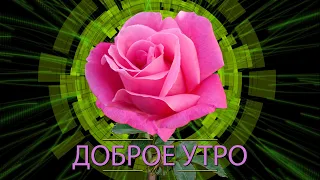 ✅Доброе утро✅ Анимационная открытка 4К