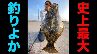 フェリー乗り場の横で釣りよか史上最大級の巨大ヒラメが釣れた！！