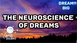 The Neuroscience of Dreams: The meaning of Our Dreams #neuroscience #dream #dreams #meaning