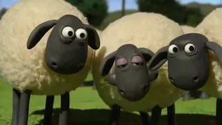 (NO ADS) NEW Shaun The Sheep Full Episodes About 11 Hour Collection 2017 HD