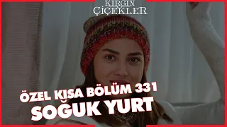 Kırgın Çiçekler Özel Kısa Bölümler | 331