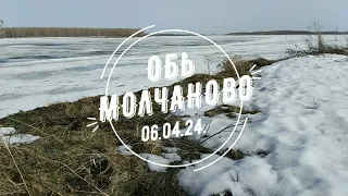 Обь. Молчаново 06.04.24.