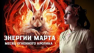 Эфир энергии марта 2024💫 Месяца огня инь 丁 🔥на кролике 卯