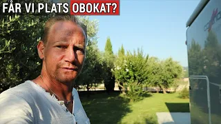 obokat i juli i sydeuropa 😱