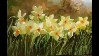 Нарциссы Daffodils  Vugar Mamedov