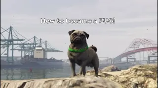 Gta5 online peyote plant PUG 2020