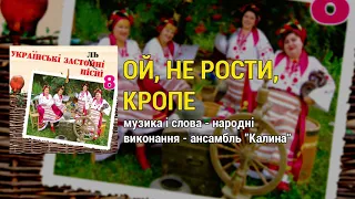 Ой, не рости, кропе - ансамбль Калина. Українські застольні пісні ч.8