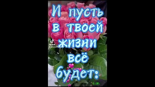 С Днем рождения, Светлана!