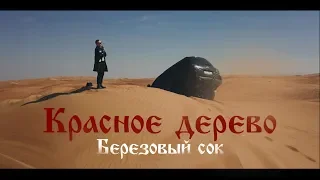 Красное Дерево - Березовый сок ( Премьера клипа)