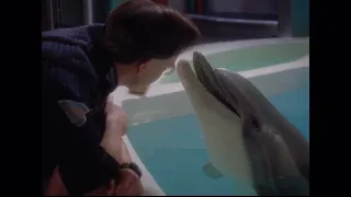 (FLASH WARNING) no context seaquest dsv season 2