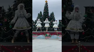 Winter Wonderland Show at Legoland