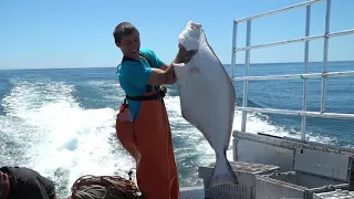 Maine Halibut fishing 2020! Catch and cook! My favorite fish to eat!