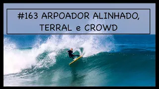 #163 ARPOADOR ALINHADO, TERRAL e CROWD