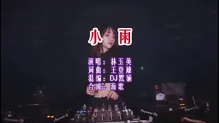 林玉英 《小雨 （DJ默涵版）》 KTV 导唱字幕 （备有伴奏视频）