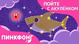 Акулёнок мой, сияй! | Пойте с Акулёнком | Пинкфонг Песни для Детей