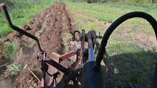 Moldboard Plowing How They Did It In The Old Days