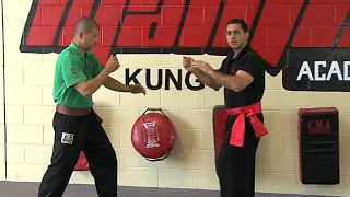 Mantis Kung Fu - Level 1, Form - Sarm Bo Gin - 3 Spearing Fists