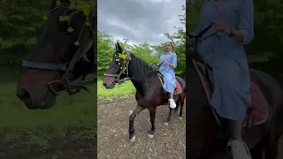 🚘или 🐎?