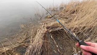 Рыбалка на маныче. Мартовская щука на спиннинг. Новая палка narval river dance