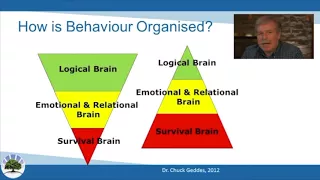 Why Normal Parenting Doesn’t Help: How Complex Trauma Changes The Brain | Trauma Resources