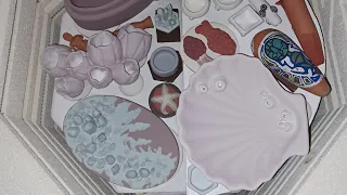 Red Eft Designs ~ Kiln Opening #4 ~ Mushrooms, Pipes, Crystals, Shells, All Glaze Combos Revealed