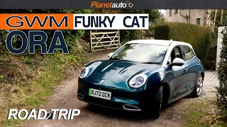 GWM Ora Funky Cat 03 | Yorkshire Road Trip