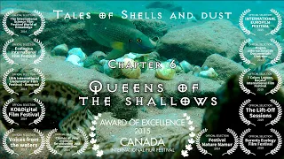 Lake Tanganyika Documentary Series - Tales of Shells and Dust - Chapter 5 - Queens of the Shallows