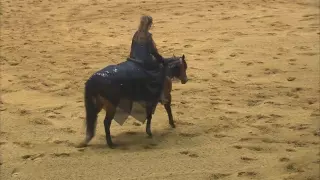 2011 Congress Champion-Stacy Westfall, Freestyle Reining Bridleless