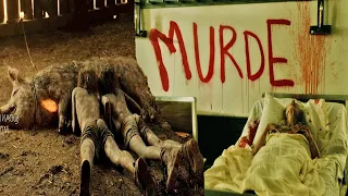 Buy Cheap House Haunted with Expensive Spirits |American Horror story Season 6-My Roanoke Nightmare