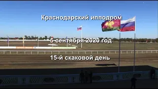 Видео 15 скаковой день   05 09 2020г  Краснодарский ипподром