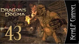 Dragon's Dogma: Dark Arisen - Охота на боссов #43