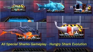 All Special Sharks Gameplay - Hungry Shark Evolution