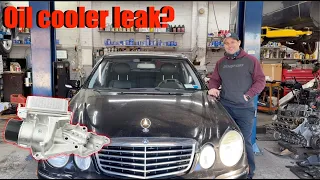 How to replace Oil Cooler? Oil filter housing. 2008 Mer /Benz E350 4Matic