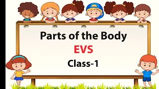 Parts Of The Body/ EVS- Class 1- My Body