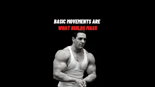 Basic Movements Are What Builds Mass!