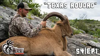 Giant Free-Range Aoudad Hunt | The Bearded Buck | Full Episode