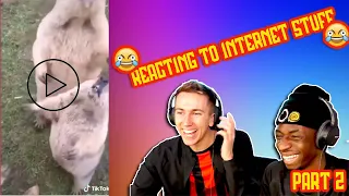 Simon and tobi reacting to Internet stuff funniest moments #2